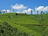 Sri Lanka, čajové plantáže